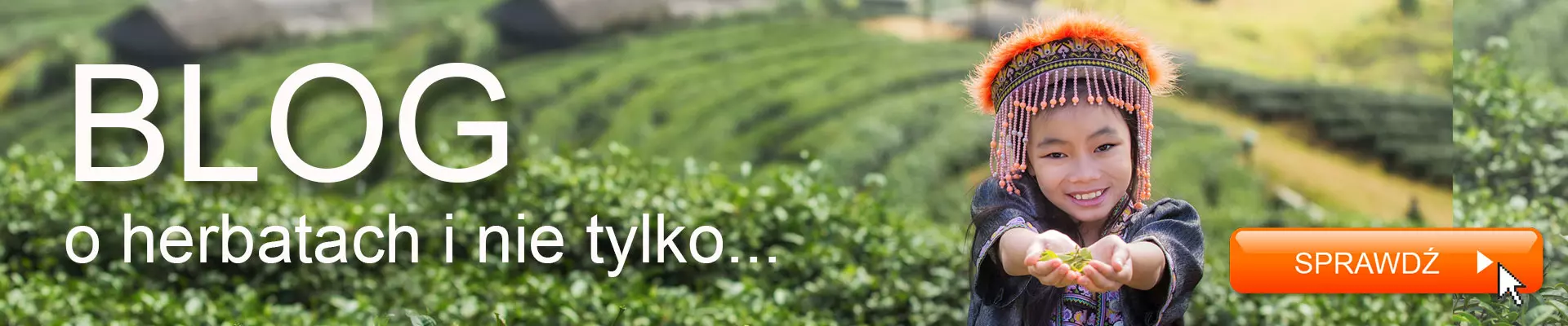 Blog herbata kawa mate
